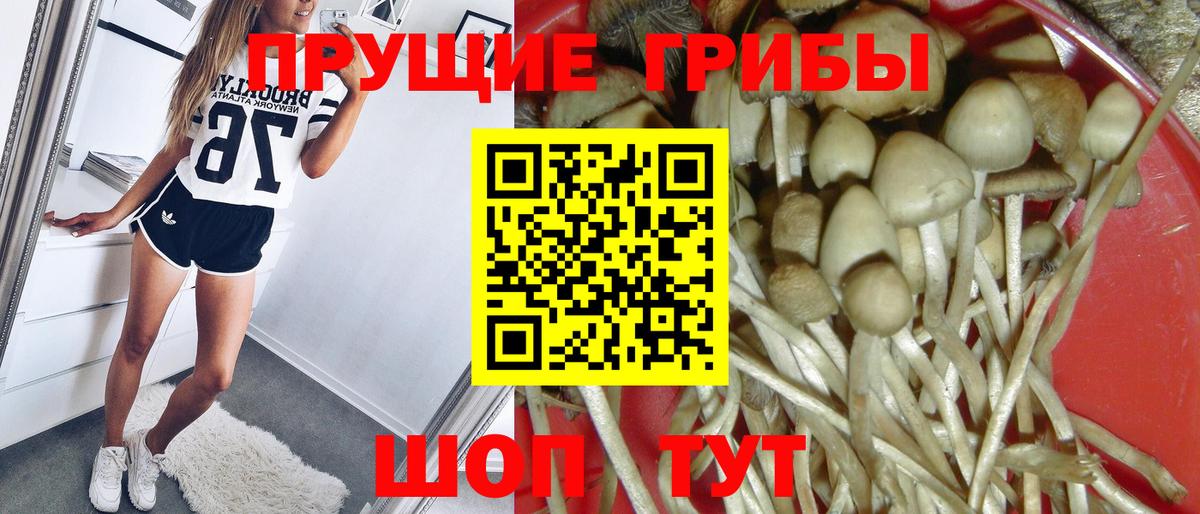Псилоцибиновые грибы мухоморы Ивантеевка